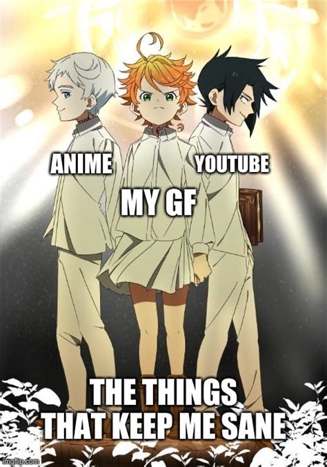 tpn memes|TPNmemes .